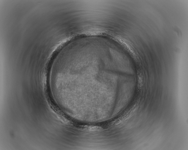 X0000112100539200908251151