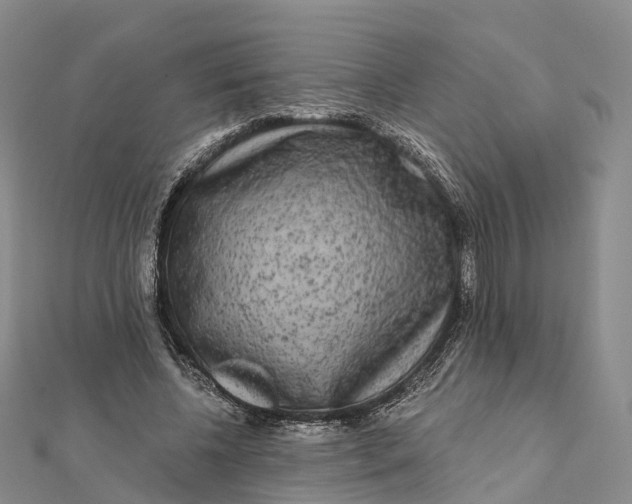 X0000112100540200908251151