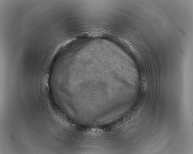 X0000112100543200908251151