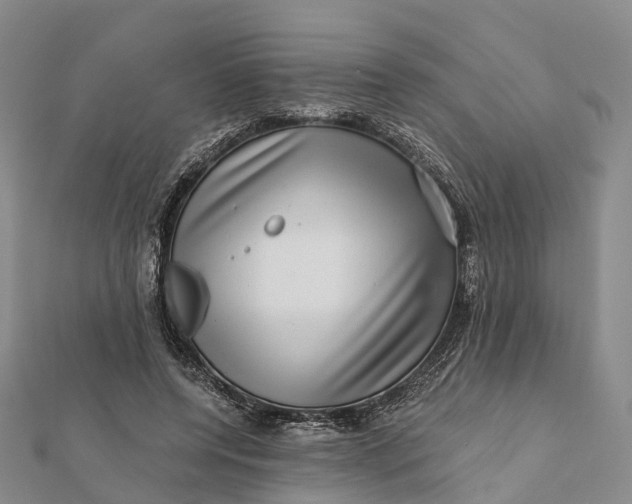 X0000112100544200908251152