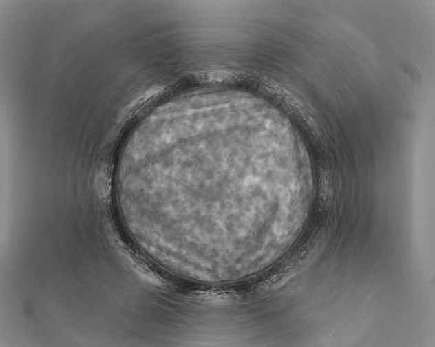 X0000112100545200908251152