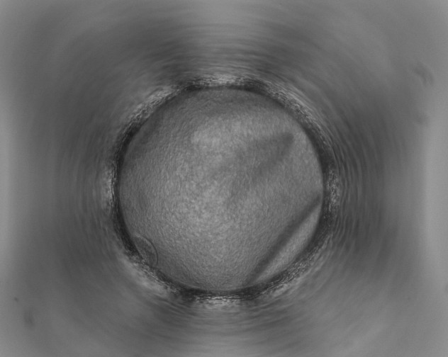 X0000112100546200908251152