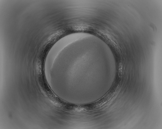 X0000112100547200908251152