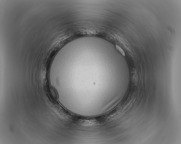 X0000112100548200908251152