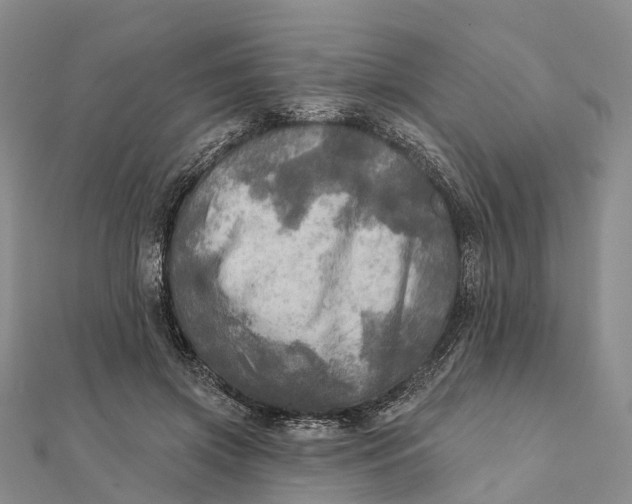 X0000112100549200908251152