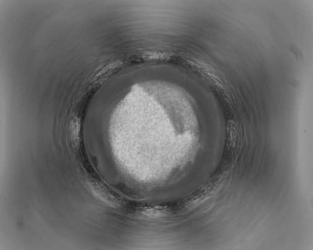 X0000112100550200908251152