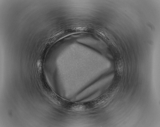 X0000112100551200908251152