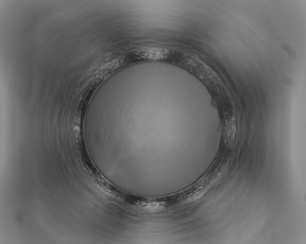 X0000112100553200908251152