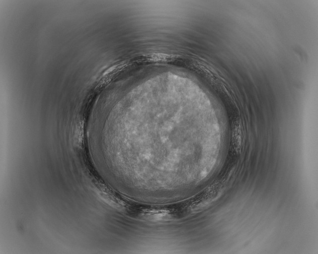 X0000112100554200908251152