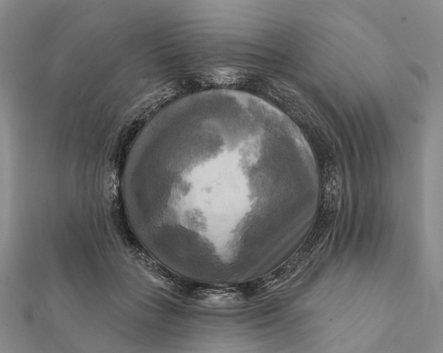 X0000112100555200908251152