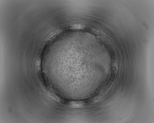 X0000112100556200908251152