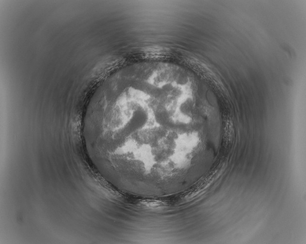 X0000112100557200908251152