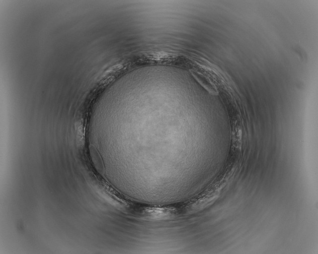 X0000112100558200908251152