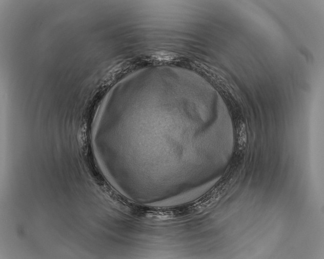 X0000112100559200908251152