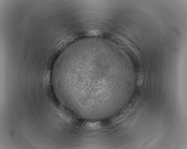 X0000112100560200908251152