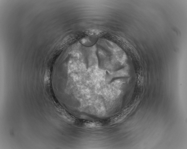 X0000112100561200908251152