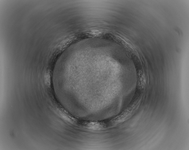 X0000112100562200908251152