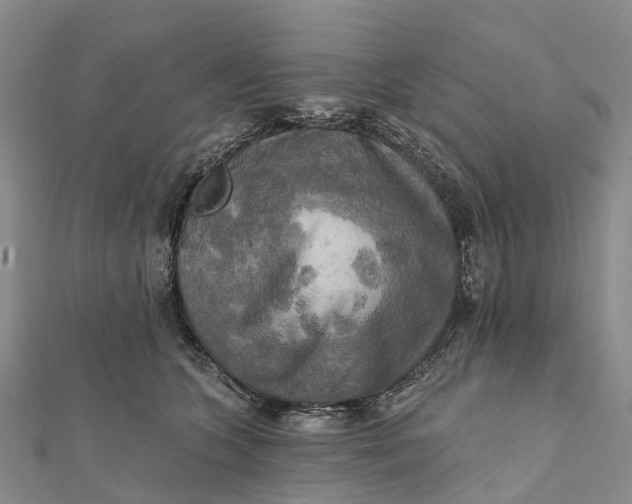 X0000112100563200908251152