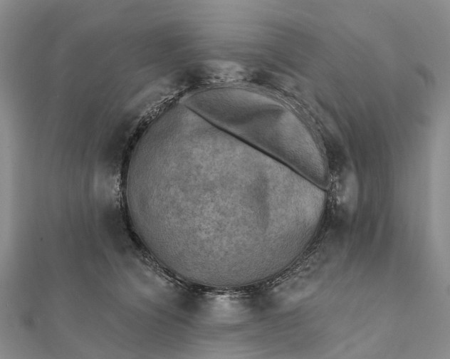 X0000112100564200908251152