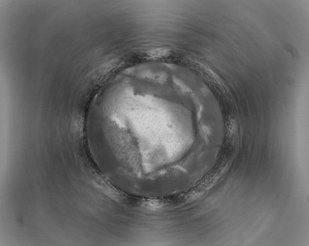 X0000112100565200908251152