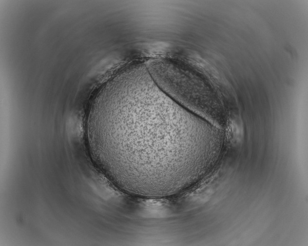 X0000112100566200908251152