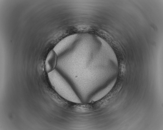 X0000112100567200908251152