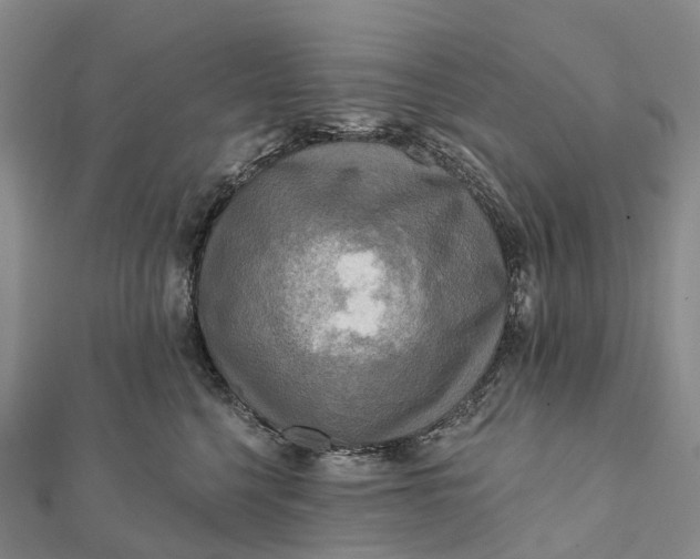 X0000112100568200908251152