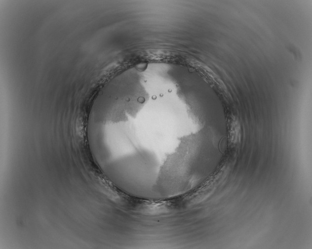 X0000112100569200908251152