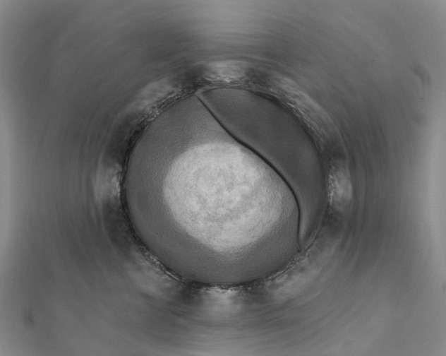 X0000112100570200908251152