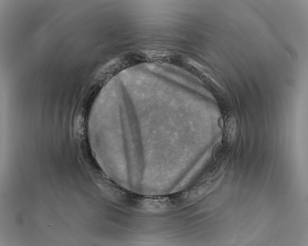 X0000112100571200908251152