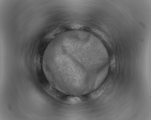 X0000112100572200908251152