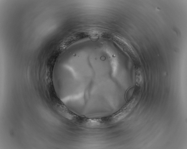 X0000112100573200908251152