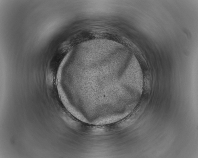 X0000112100574200908251152