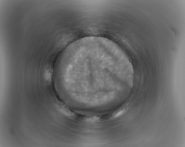 X0000112100576200908251152