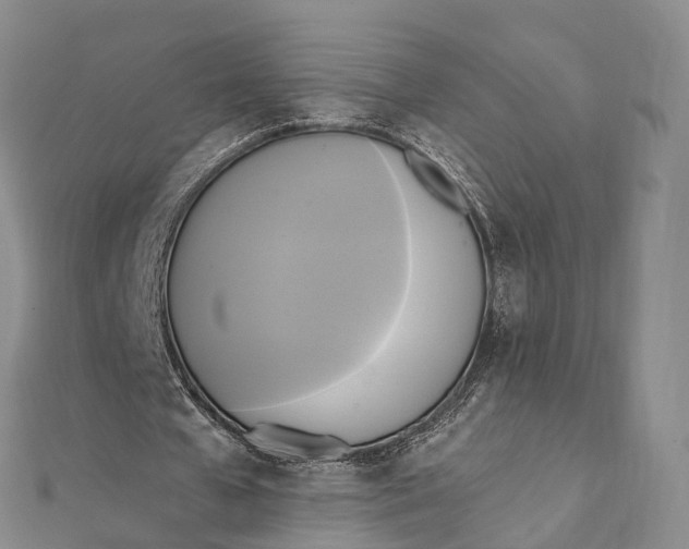 X0000112100577200908251151