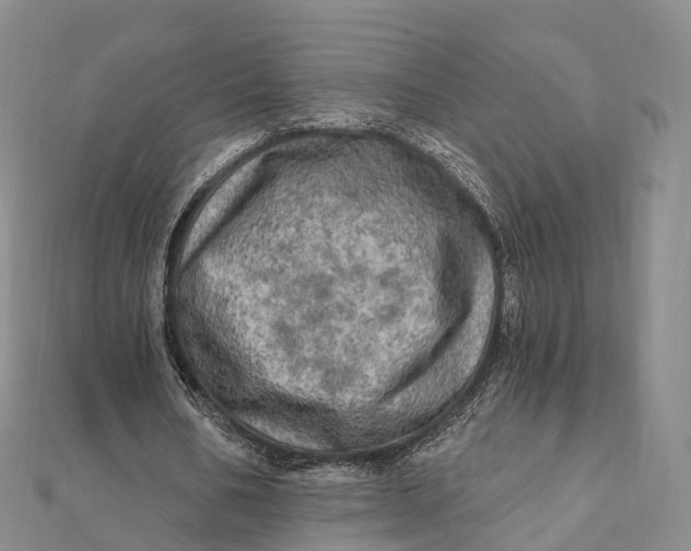 X0000112100578200908251151