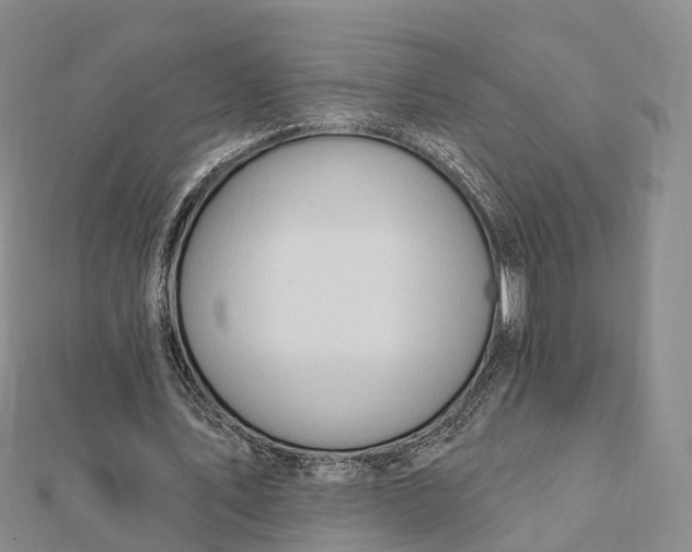 X0000112100579200908251151