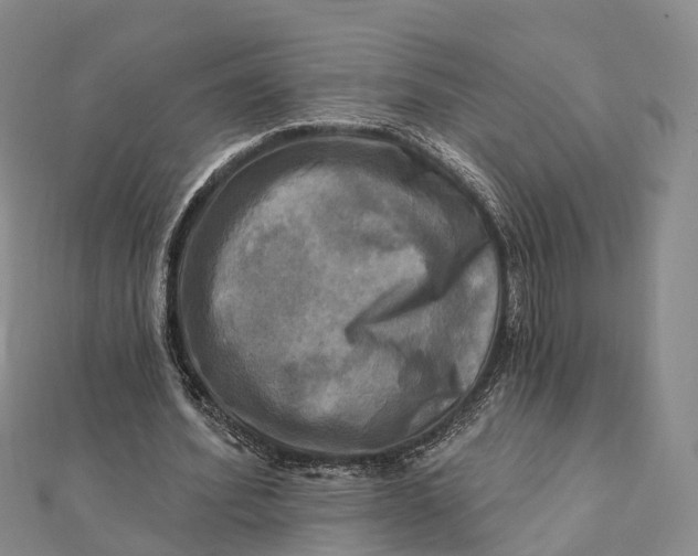 X0000112100580200908251151