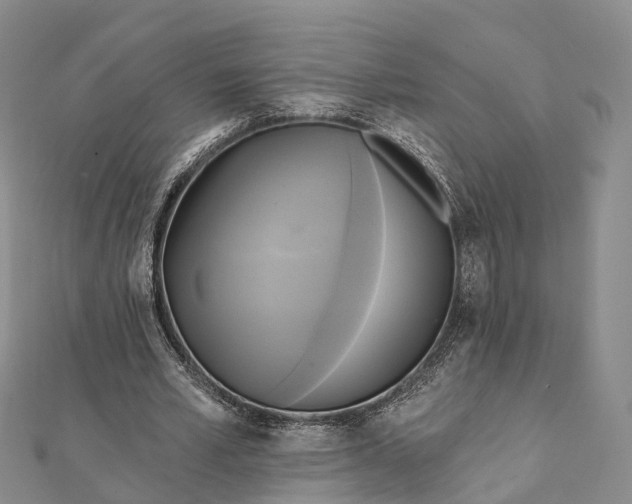 X0000112100581200908251151