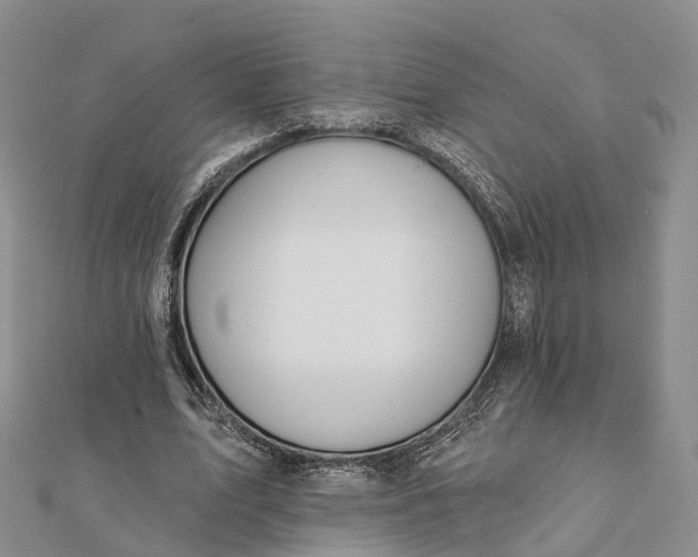 X0000112100583200908251151