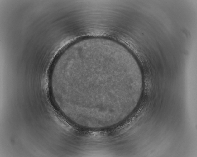 X0000112100584200908251151