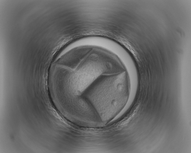 X0000112100585200908251151