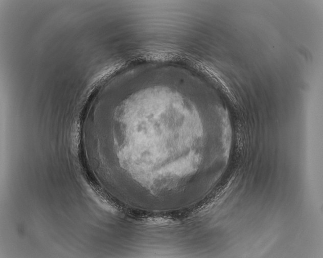 X0000112100586200908251151