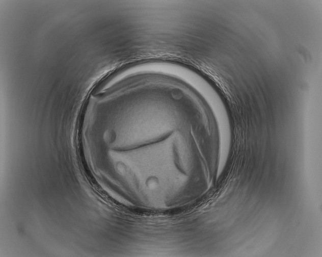 X0000112100587200908251151