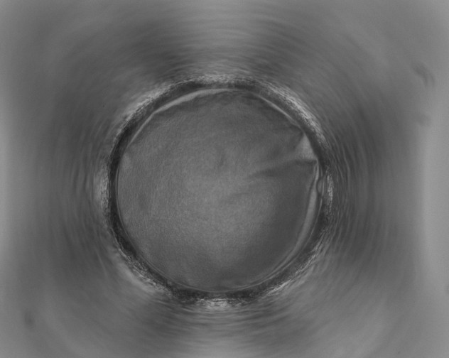 X0000112100588200908251151