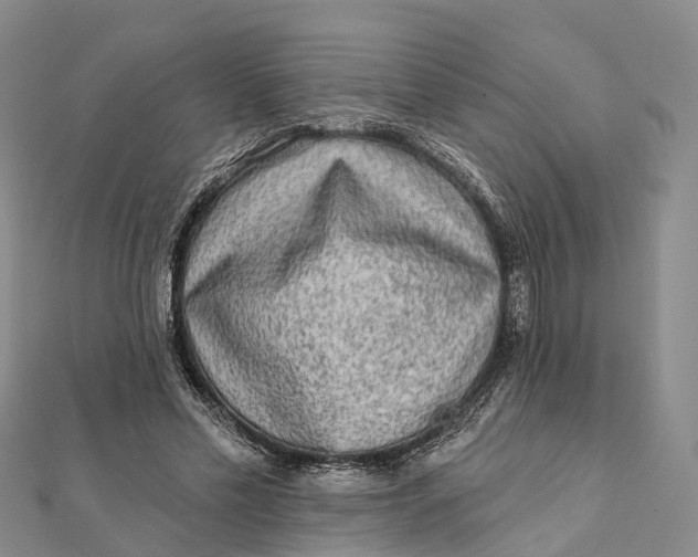 X0000112100589200908251151