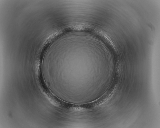 X0000112100590200908251151