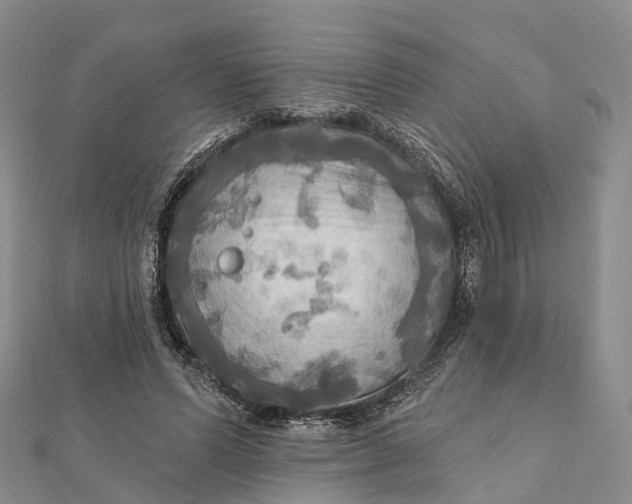 X0000112100591200908251151