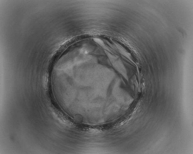 X0000112100592200908251151