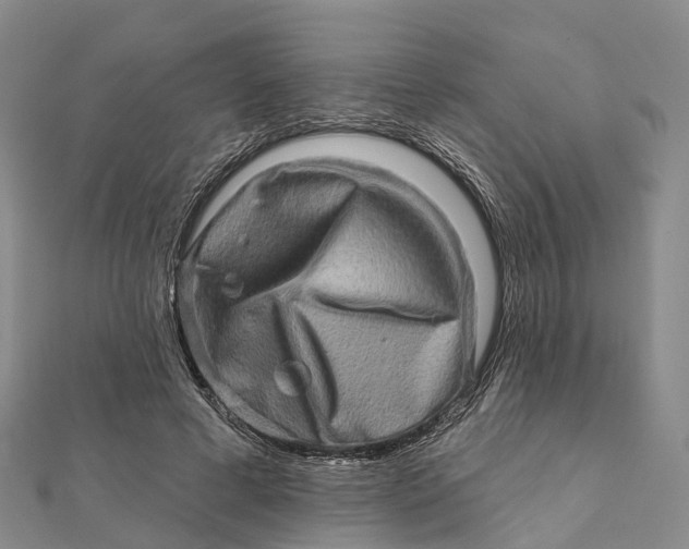 X0000112100593200908251151